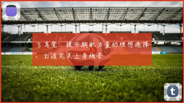 飞鸟凳：提升胸肌力量的理想选择，打造完美上身线条