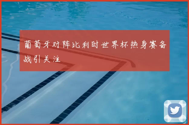 葡萄牙对阵比利时世界杯热身赛备战引关注