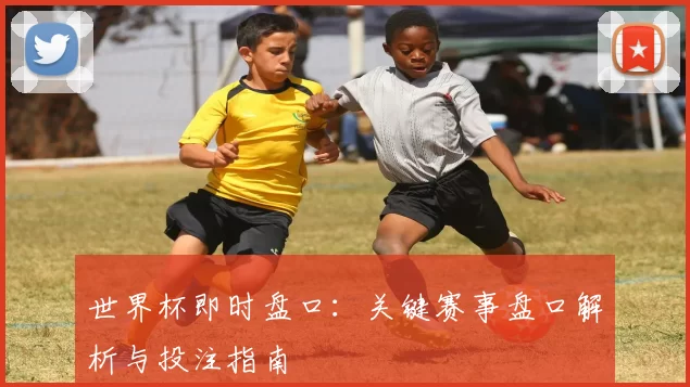 世界杯即时盘口:关键赛事盘口解析与投注指南