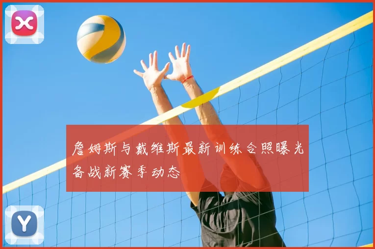 詹姆斯与戴维斯最新训练合照曝光备战新赛季动态