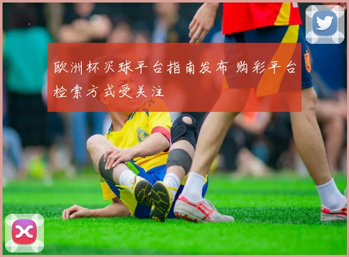 欧洲杯买球平台指南发布 购彩平台检索方式受关注