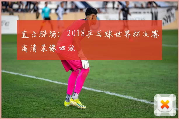 直击现场：2018乒乓球世界杯决赛高清录像回放