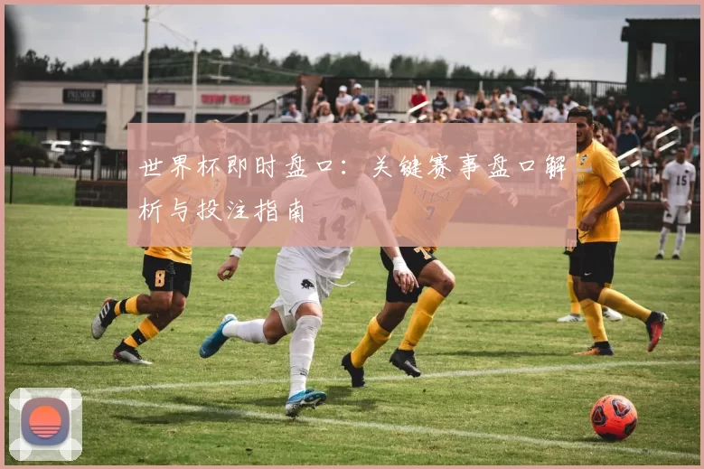 世界杯即时盘口：关键赛事盘口解析与投注指南