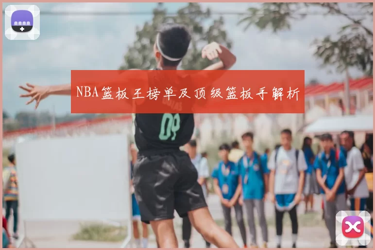 NBA篮板王榜单及顶级篮板手解析