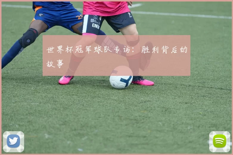 世界杯冠军球队专访：胜利背后的故事