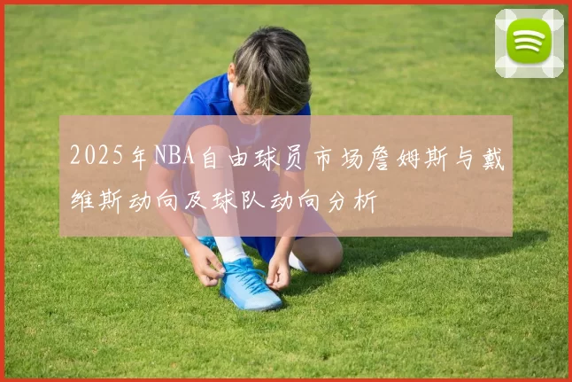 2025年NBA自由球员市场詹姆斯与戴维斯动向及球队动向分析