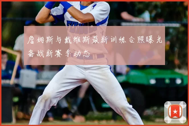 詹姆斯与戴维斯最新训练合照曝光备战新赛季动态
