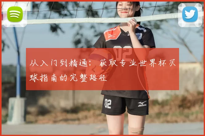 从入门到精通：获取专业世界杯买球指南的完整路径