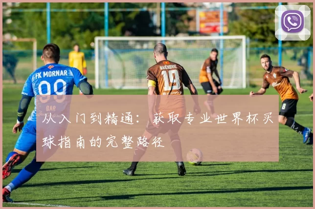 从入门到精通：获取专业世界杯买球指南的完整路径