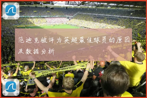 范迪克被评为英超最佳球员的原因及数据分析