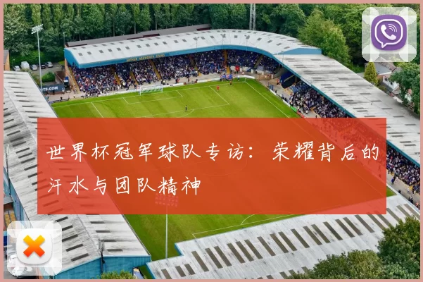 世界杯冠军球队专访：荣耀背后的汗水与团队精神