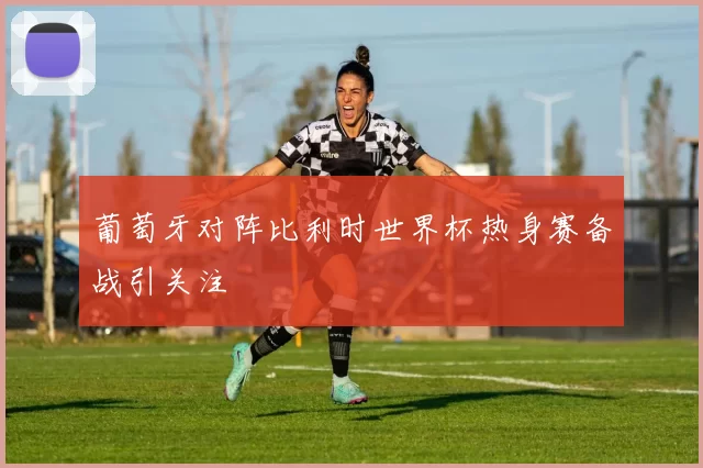 葡萄牙对阵比利时世界杯热身赛备战引关注