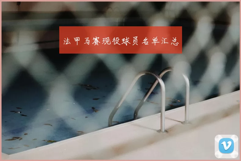 法甲马赛现役球员名单汇总