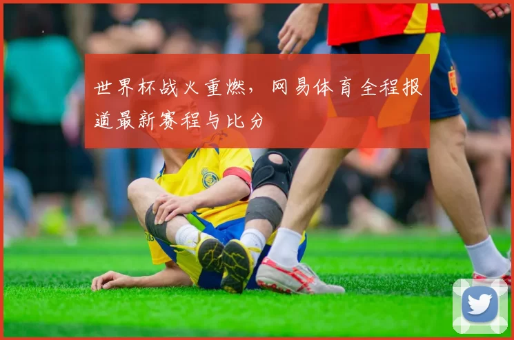 世界杯战火重燃，网易体育全程报道最新赛程与比分