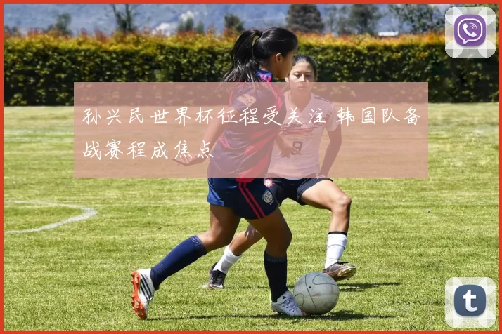 孙兴民世界杯征程受关注 韩国队备战赛程成焦点