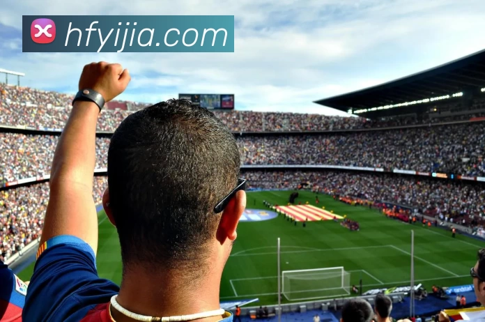 App Interface Preview